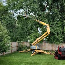 Best Leaf Removal  in Oologah, OK