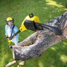 Best Weed Control  in Oologah, OK