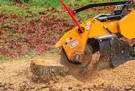 Best Lawn Pest Prevention  in Oologah, OK