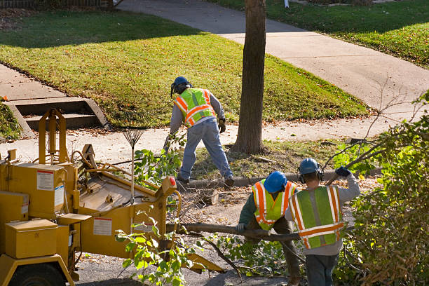 Lawn Pest Prevention in Oologah, OK