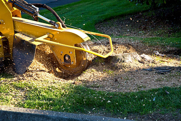 Best Aeration Services  in Oologah, OK