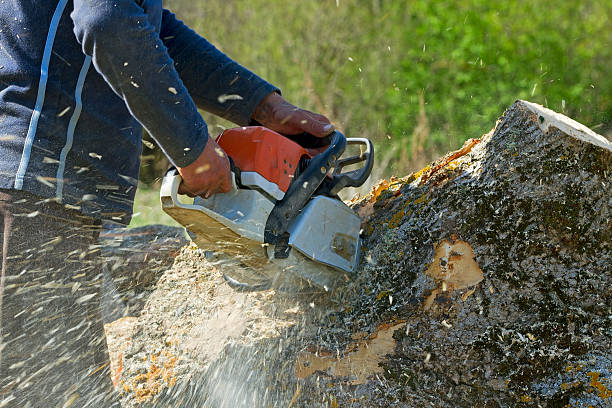 Best Soil Testing and Treatment  in Oologah, OK
