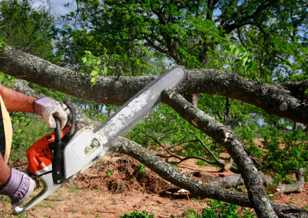 Best Lawn Irrigation Installation and Maintenance  in Oologah, OK